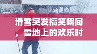 弃文就武