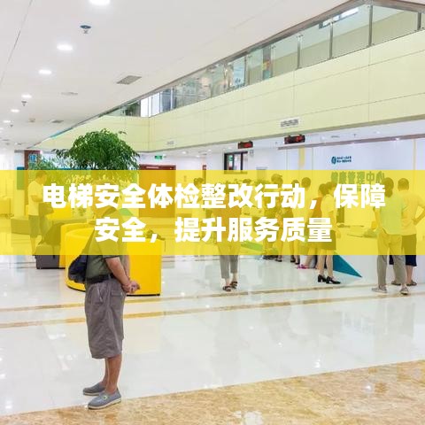 高不成低不就