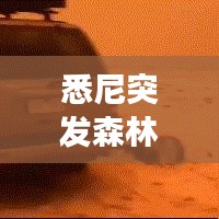 张灯结彩
