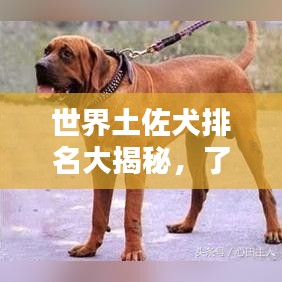 2025年5月18日 第2页