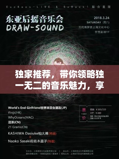 独家推荐，带你领略独一无二的音乐魅力，享受非凡听觉盛宴（07）